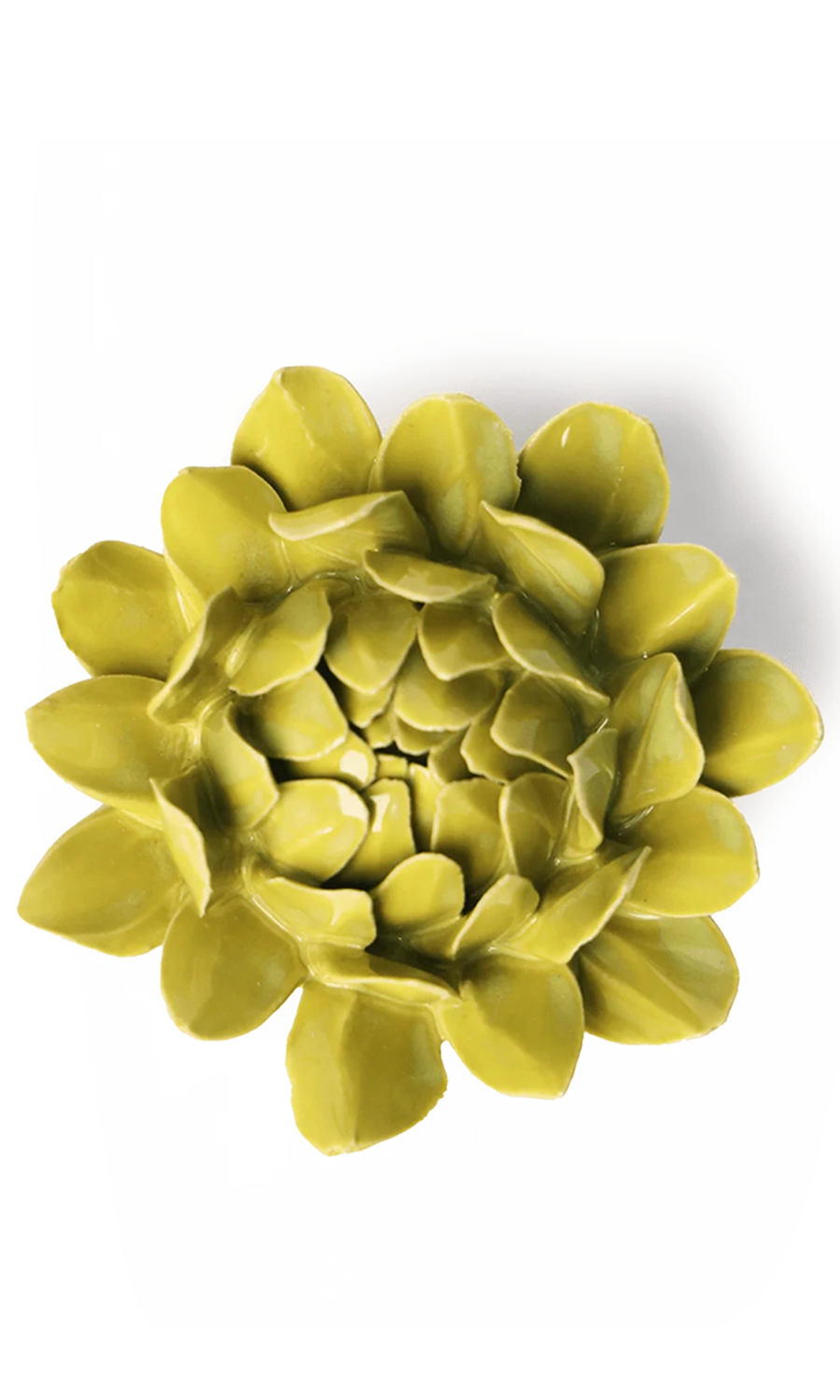 chartreuse Sugarbush Protea ceramic wall flower — English Garden Collection — handmade by Chive Studio Toronto