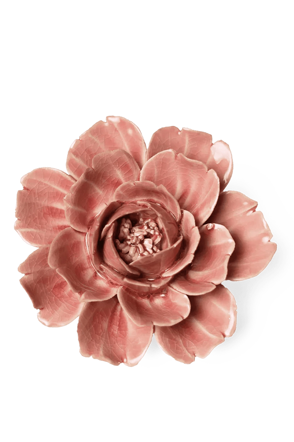Champagne Pink Rose - English Garden Collection - handmade by Chive Studio Toronto