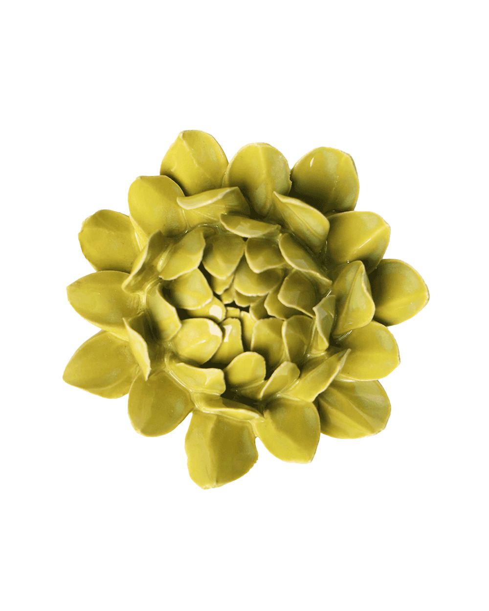 Chartreuse Sugarbush Protea ceramic wall flower — English Garden Collection — Chive Ceramics Studio