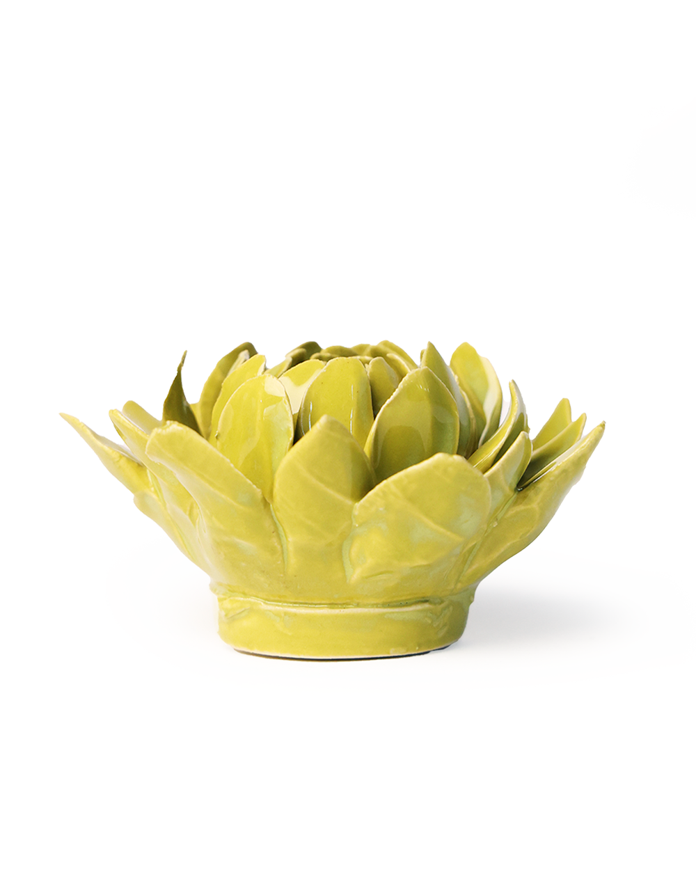 Chartreuse Sugarbush Protea ceramic wall flower detail view — Chive Ceramics Studio
