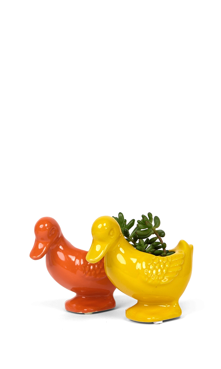 Multicolour Ceramic Indoor Plant Pot for Succulents - Duck - handmade by Chive Studio Toronto