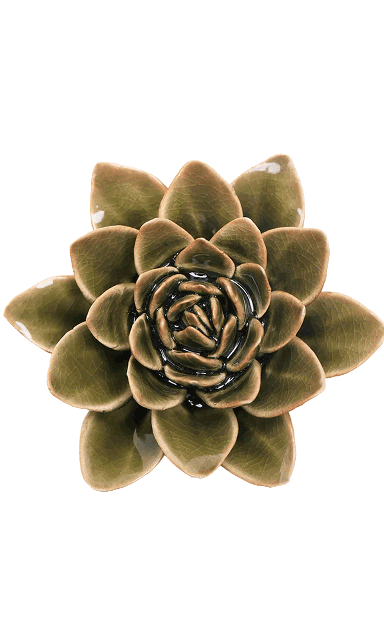 Olive Green - Echeveria - handmade by Chive Studio Toronto