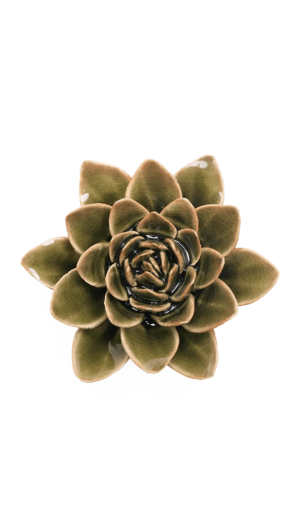 Olive Green - Echeveria - handmade by Chive Studio Toronto