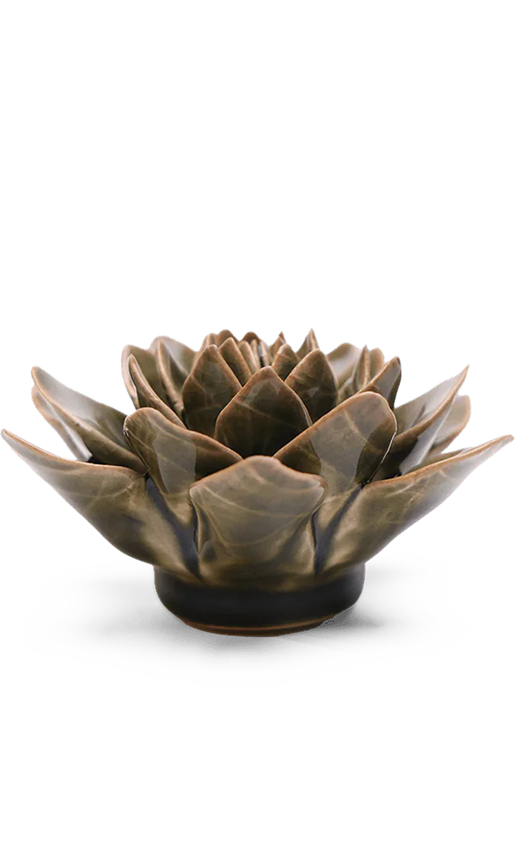 Olive Green Echeveria ceramic wall flower — English Garden collection — designed in Toronto by Chive Studio