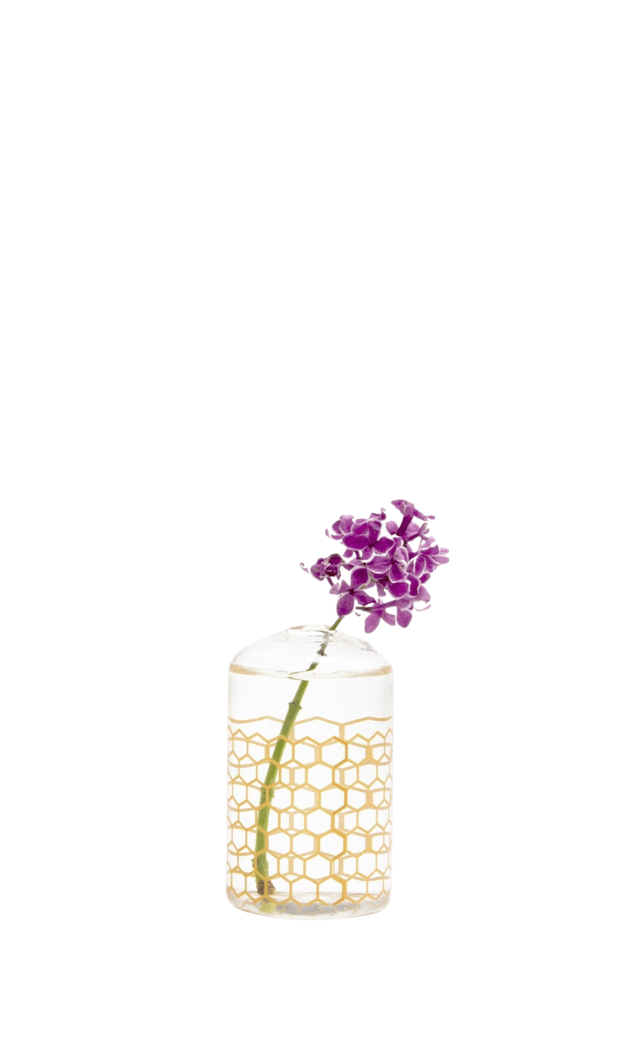 Gold Glass Bud Vase for Flowers - Elon - handmade by Chive Studio Toronto