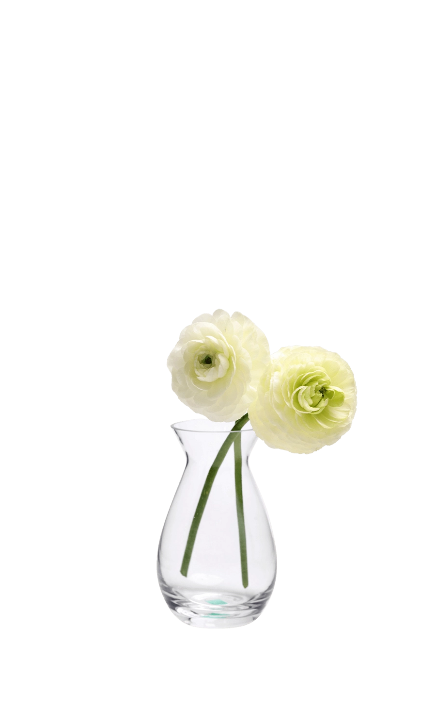 Clear Glass Bud Vase for Flowers - George - handmade by Chive Studio Toronto