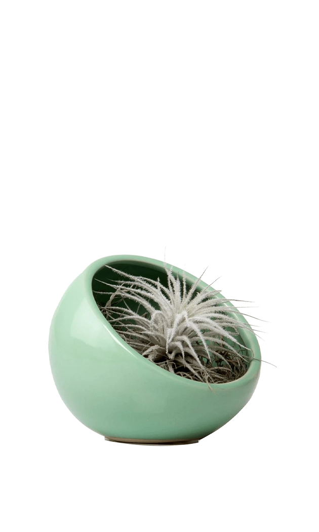 Green - Half Moon - handmade by Chive Studio Toronto
