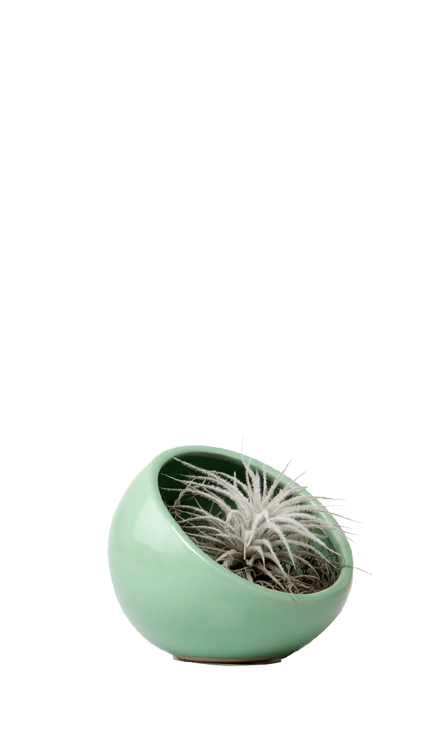 Green Ceramic Terrarium Bowl - Half Moon - handmade by Chive Studio Toronto