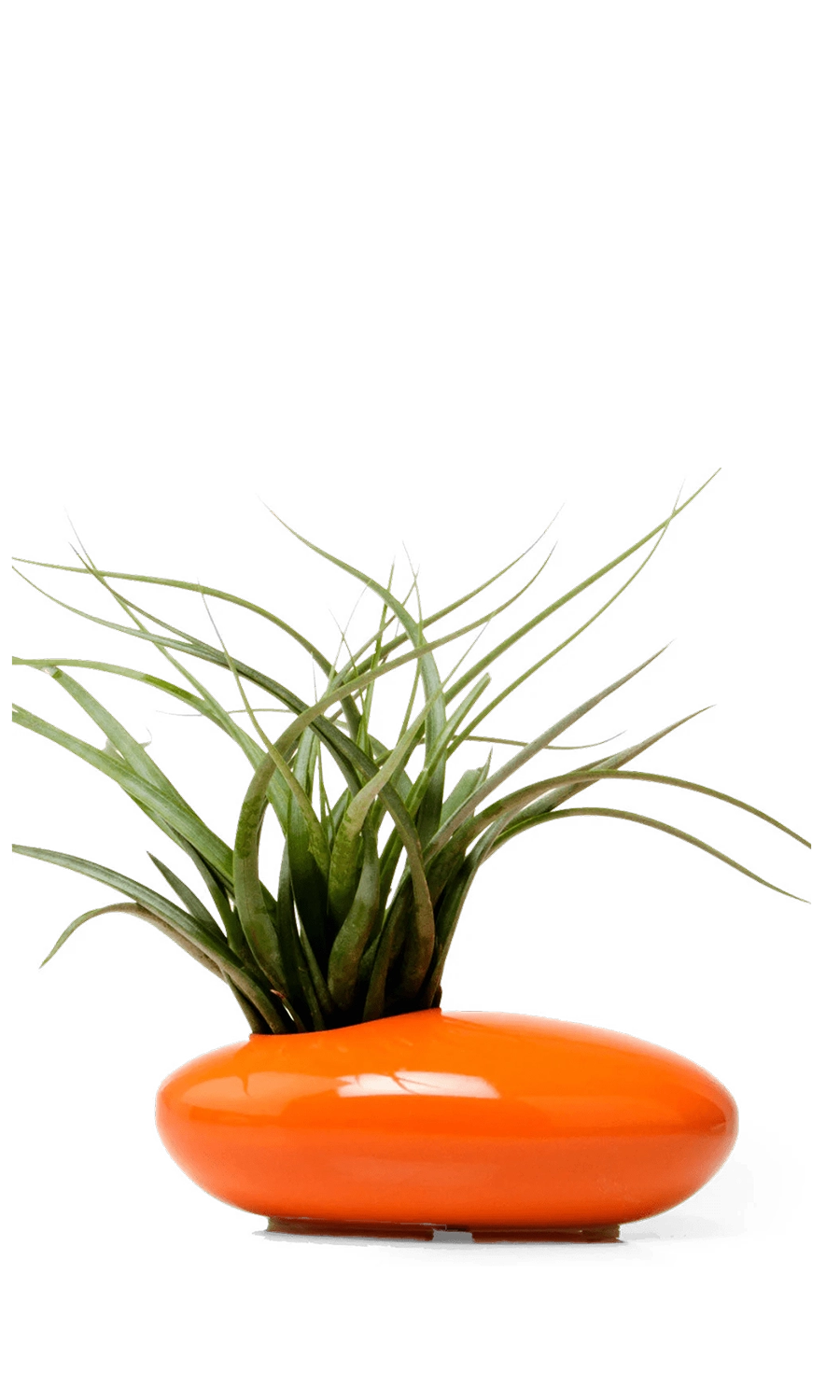 Orange Ceramic Ikebana Kenzan Container - Pebble - designed by Chive Studio Toronto