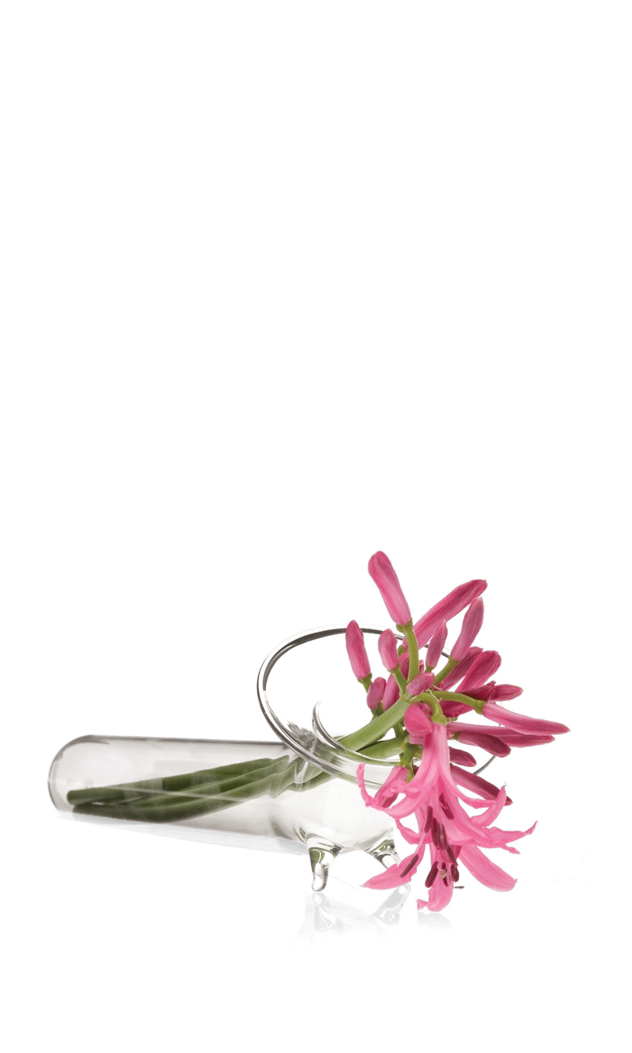 Clear Glass Modern Flower Vase - Test Tube - handmade by Chive Studio Toronto