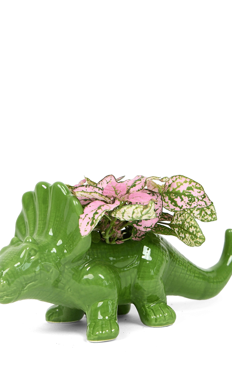 Fluorite Green Ceramic Indoor Plant for Succulents - Triceratops - handmade by Chive Studio Toronto