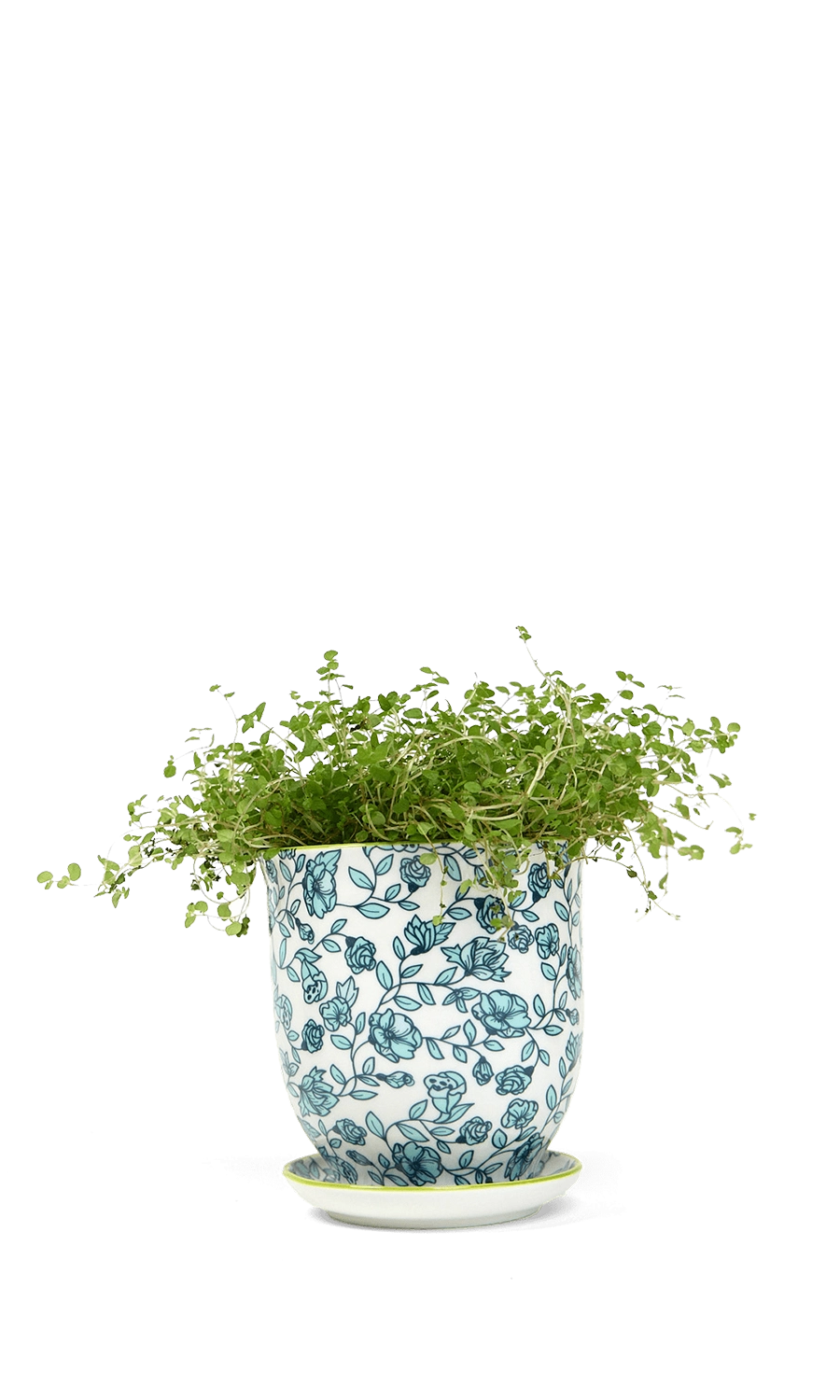 Blue Flowers Porcelain Pot And Saucer Set With Drainage - Liberte - handmade by Chive Studio Toronto