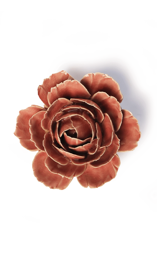 Champagne Pink - English Rose - handmade by Chive Studio Toronto