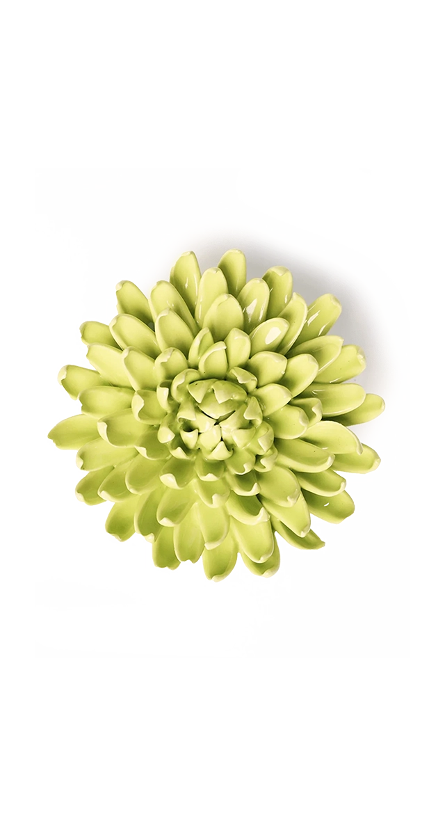Yellow Green - Pompom Mum - handmade by Chive Studio Toronto