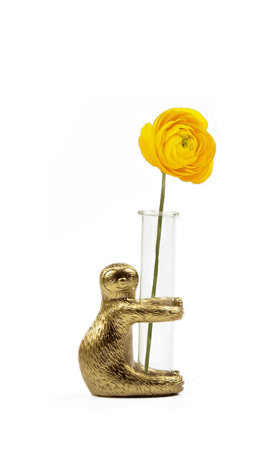 Gold Metal & Glass Propagator - Sloth - handmade by Chive Studio Toronto