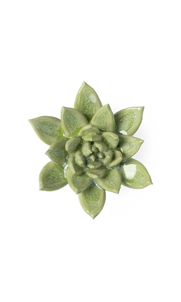 Pea Green - Ghost Succulent - handmade by Chive Studio Toronto