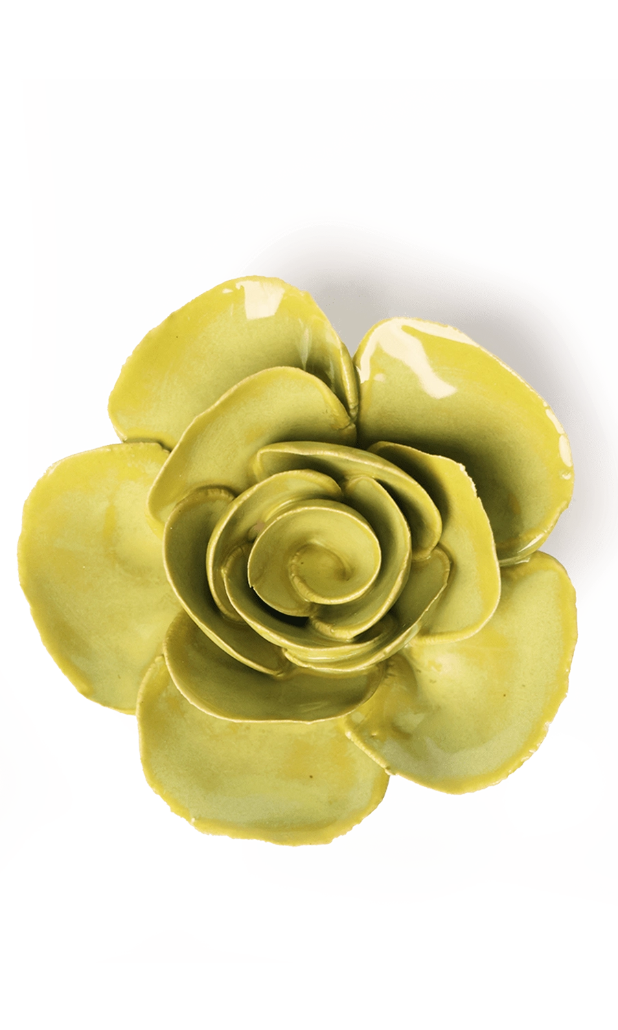 chartreuse Elegance Ranunculus ceramic wall flower — English Garden Collection — handmade by Chive Studio Toronto