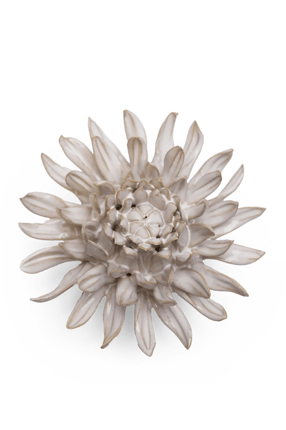 Ivory Spider Mum - Coastal Collection - handmade by Chive Studio Toronto