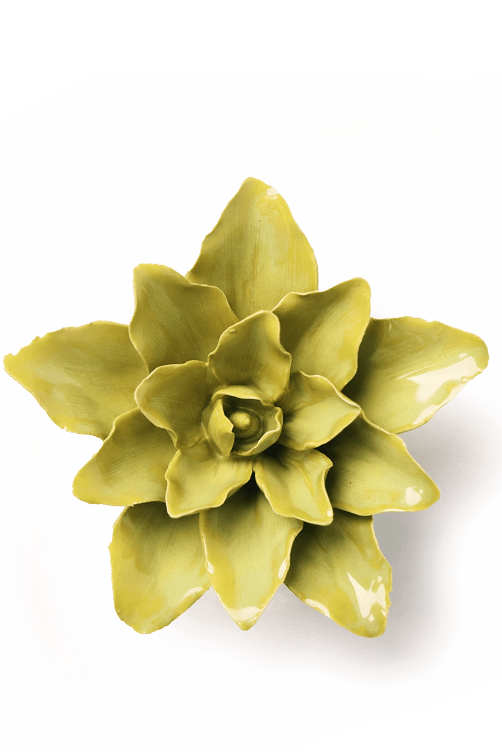 Chartreuse Tiger Lily - English Garden -handmade by Chive Studio Toronto