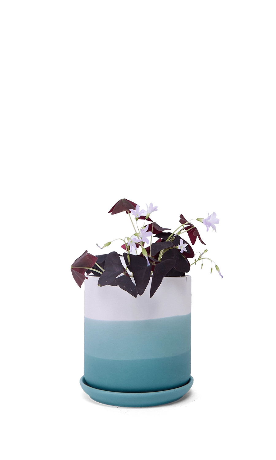 Blue Porcelain Planter with Drainage Hole and Saucer - Devo - handmade by Chive Studio Toronto