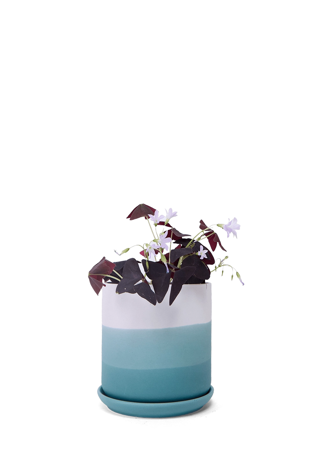 Blue Porcelain Planter with Drainage Hole and Saucer - Devo - handmade by Chive Studio Toronto