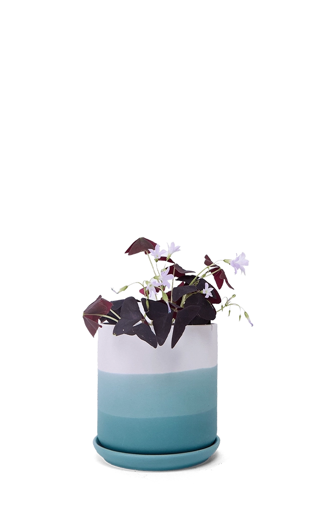 Blue Porcelain Planter with Drainage Hole and Saucer - Devo - handmade by Chive Studio Toronto