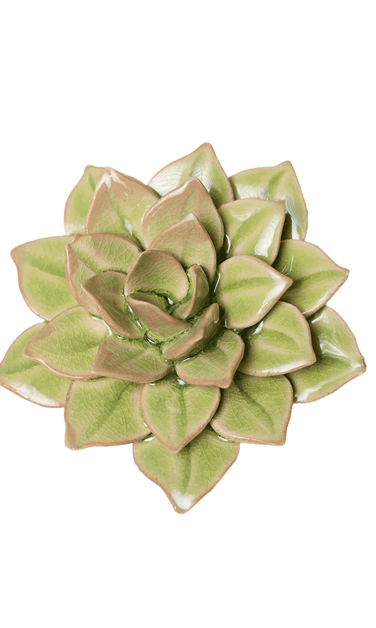Peridot Green - Fairy Echeveria - handmade by Chive Studio Toronto