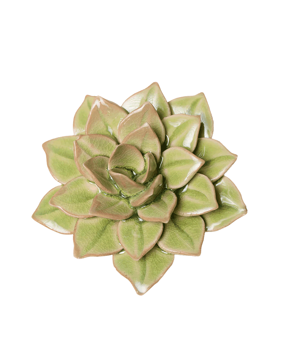 Peridot Green - Fairy Echeveria - handmade by Chive Studio Toronto
