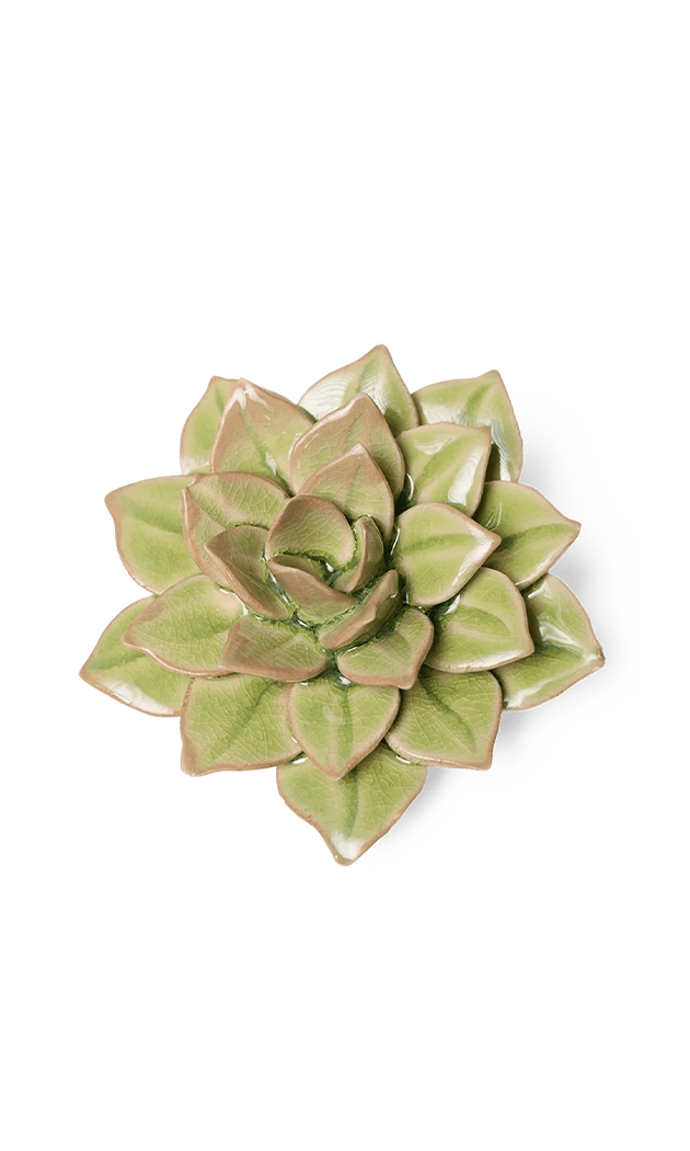Peridot Green - Fairy Echeveria - handmade by Chive Studio Toronto