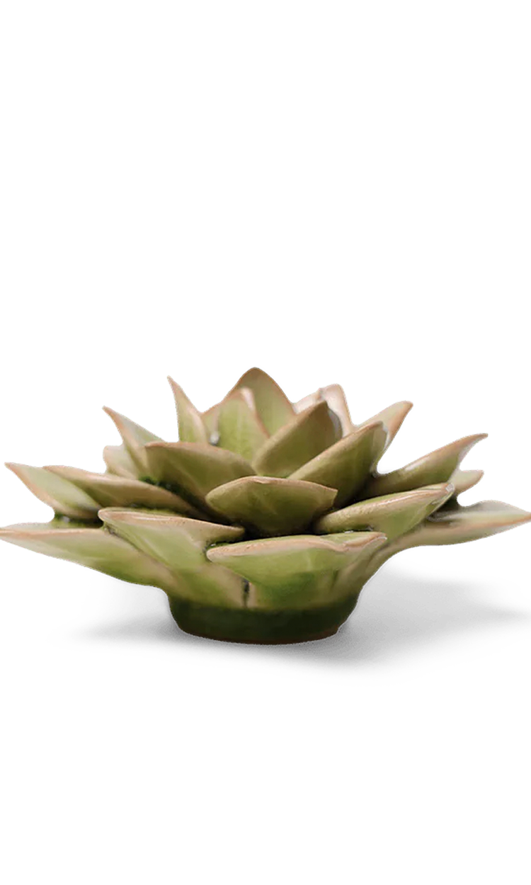 Peridot Echeveria ceramic wall flower — English Garden collection — by Chive Studio