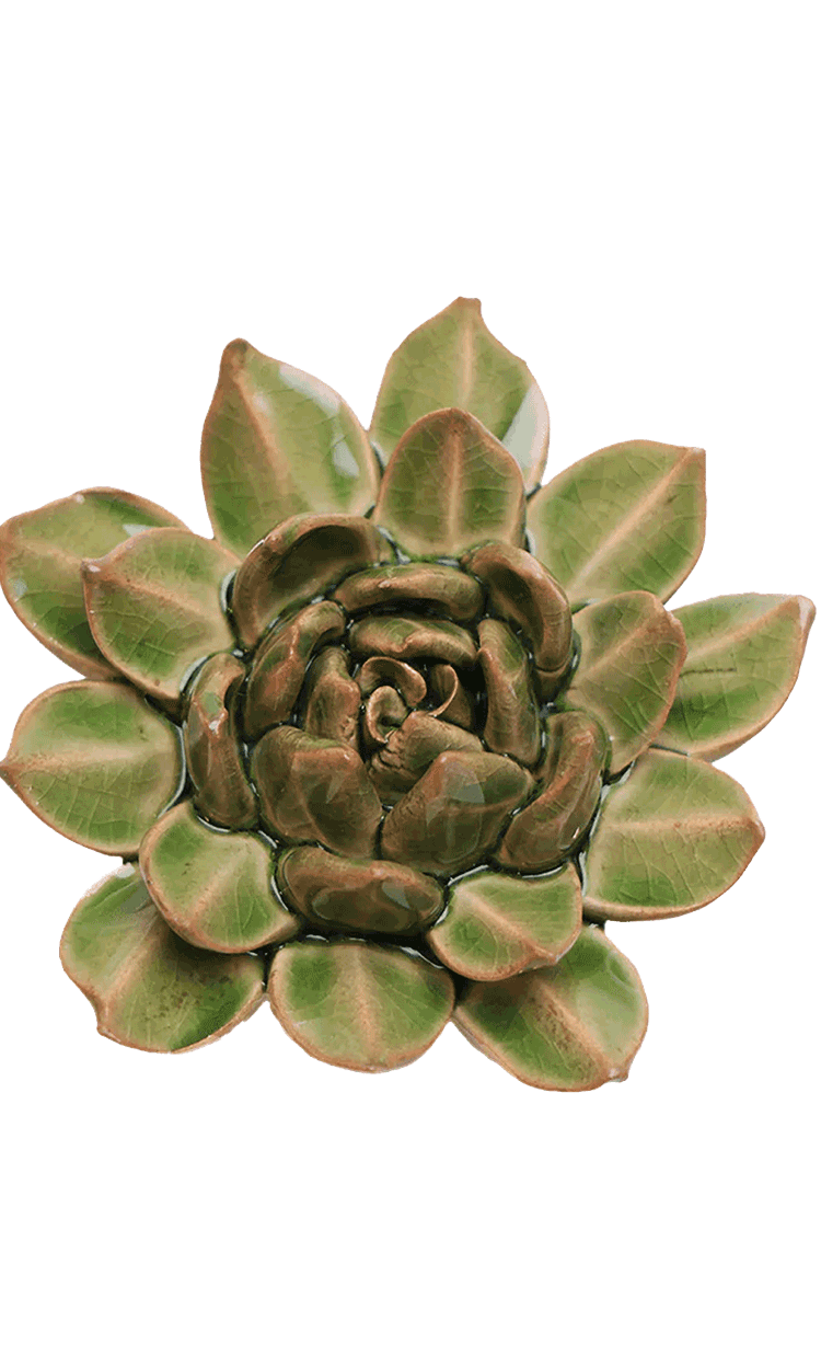 Avocado Green - Firecracker Succulent - handmade by Chive Studio Toronto