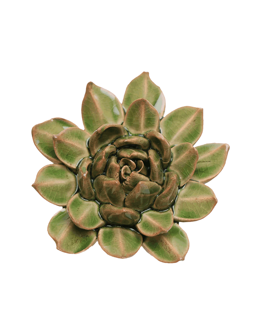 Avocado Green - Firecracker Succulent - handmade by Chive Studio Toronto