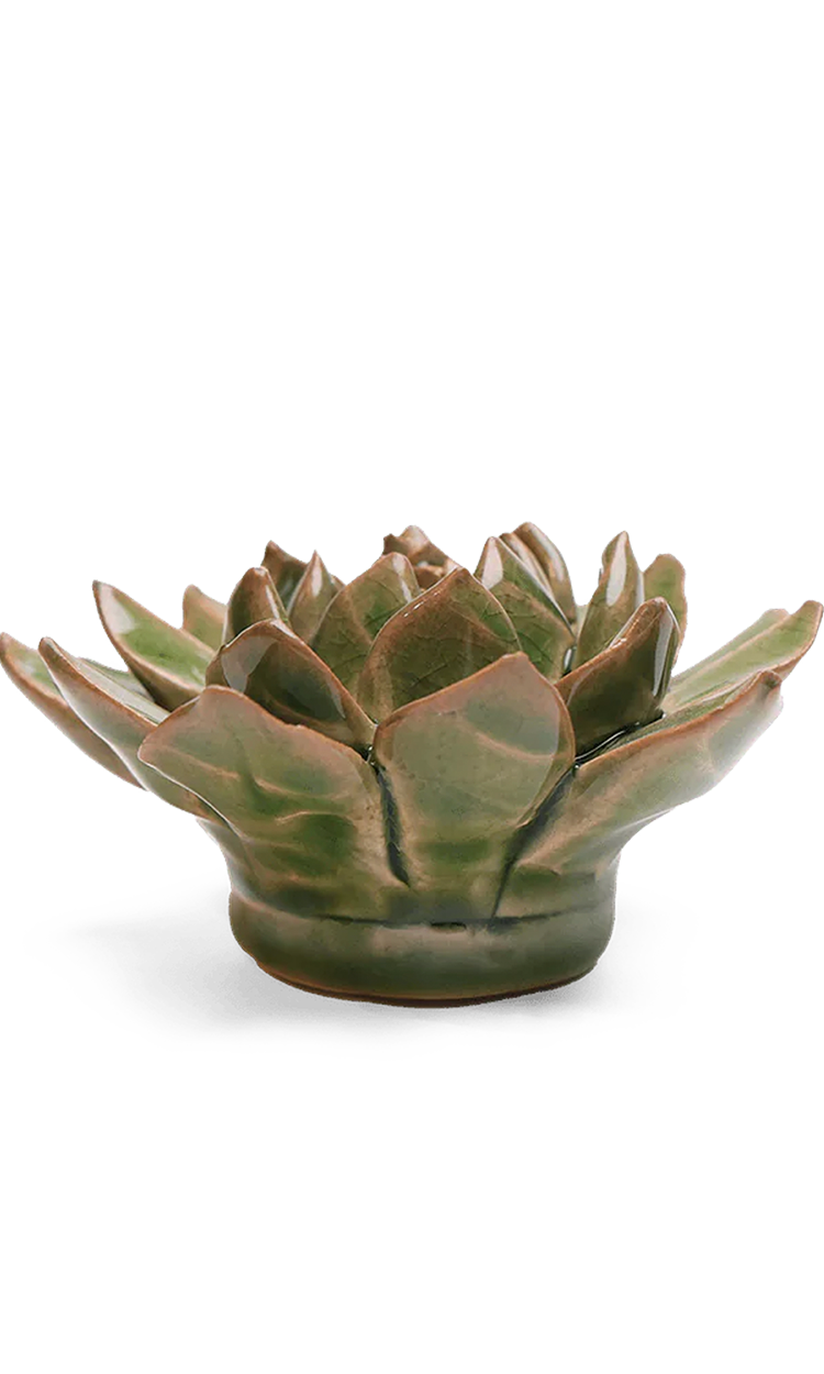 Avocado Green Firecracker Succulent - Chive Ceramics Studio - Ceramic Flowers - Chive Ceramics Studio
