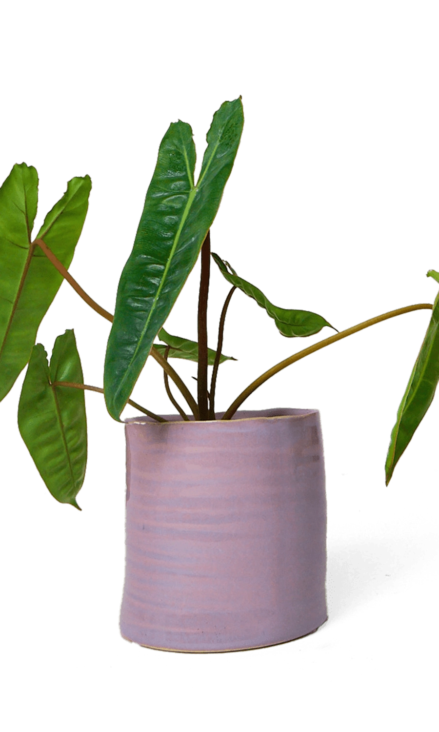 Mauve Ceramic Planter Pot - Channa - handmade by Chive Studio Toronto