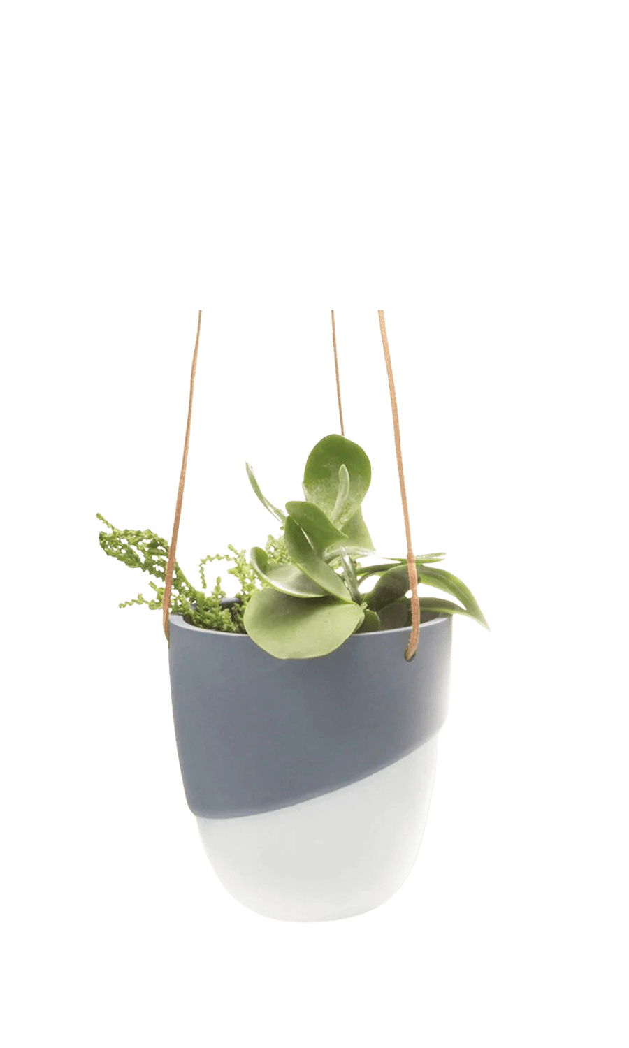 Black Porcelain Modern Hanging Indoor Plant Pot - Bobbin - handmade by Chive Studio Toronto