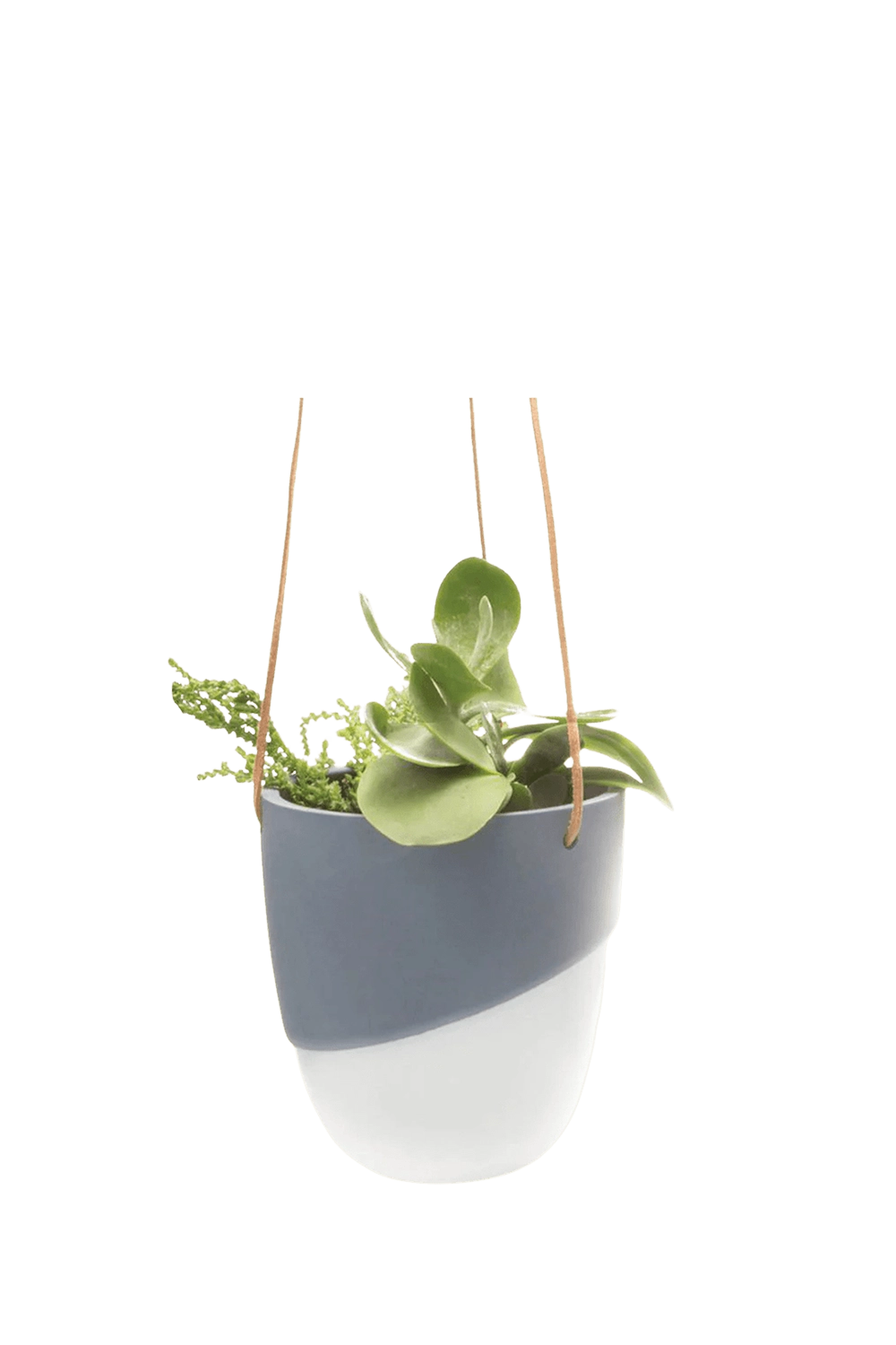 Black Porcelain Modern Hanging Indoor Plant Pot - Bobbin - handmade by Chive Studio Toronto