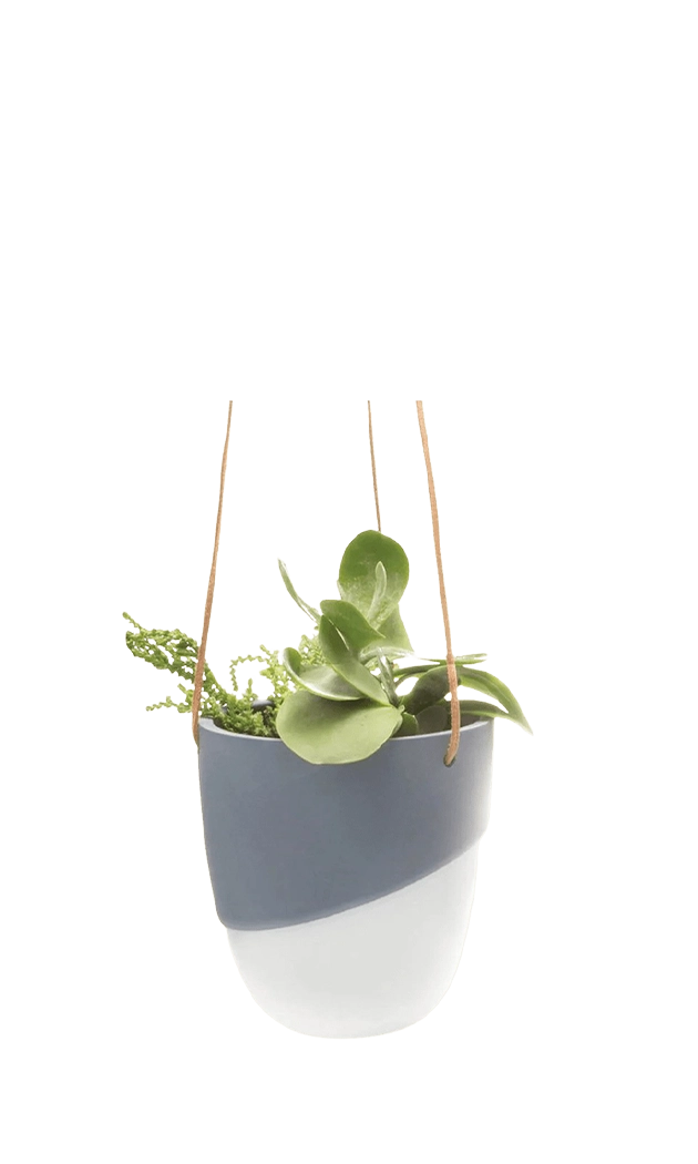 Black Porcelain Modern Hanging Indoor Plant Pot - Bobbin - handmade by Chive Studio Toronto
