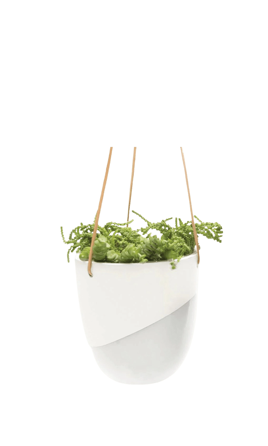 White Porcelain Modern Hanging Indoor Plant Pot - Bobbin - handmade by Chive Studio Toronto