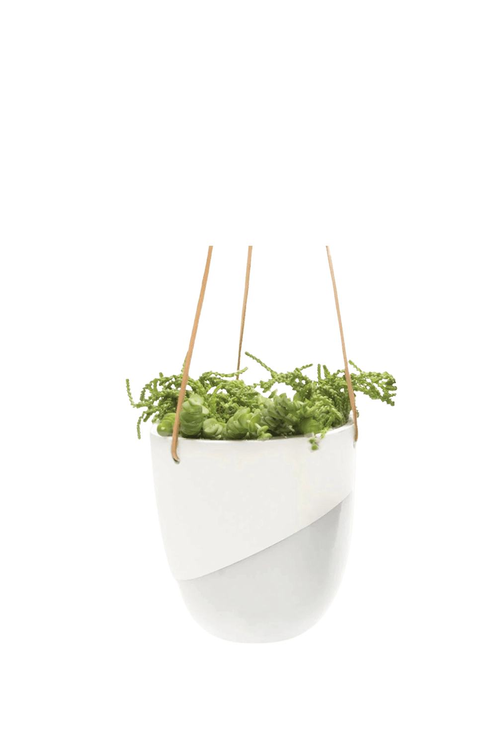 White Porcelain Modern Hanging Indoor Plant Pot - Bobbin - handmade by Chive Studio Toronto
