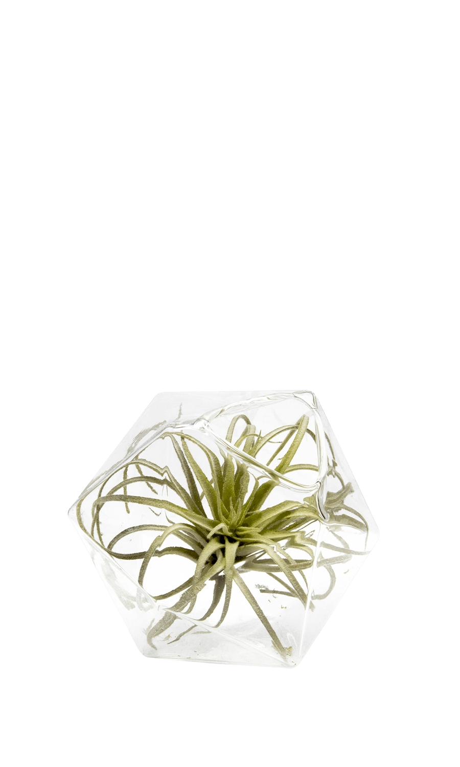 Clear Glass Modern Flower Vase - Crystal - handmade by Chive Studio Toronto