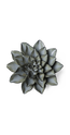 Grey - Goyet Azalea - handmade by Chive Studio Toronto