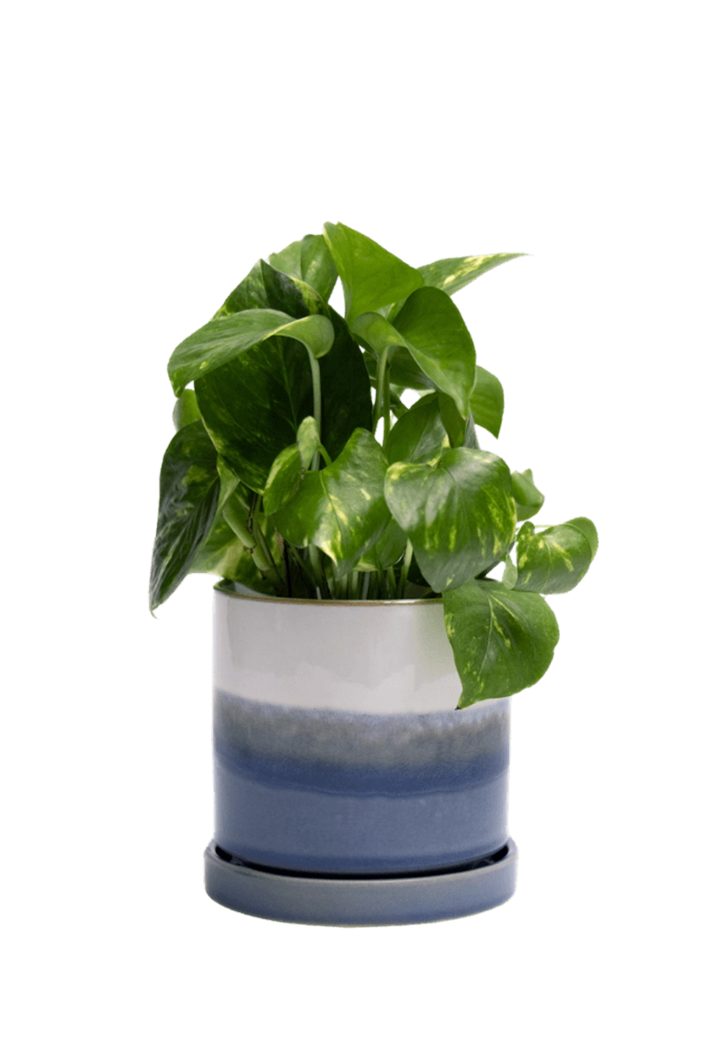 Blue Layer Medium Ceramic Pot with Drainage Hole and Saucer - Minute - handmade by Chive Studio Toronto