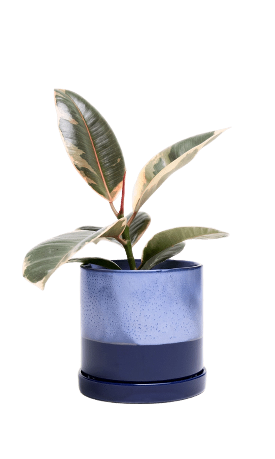Cobalt Blue Medium Ceramic Pot with Drainage Hole and Saucer - Minute - handmade by Chive Studio Toronto