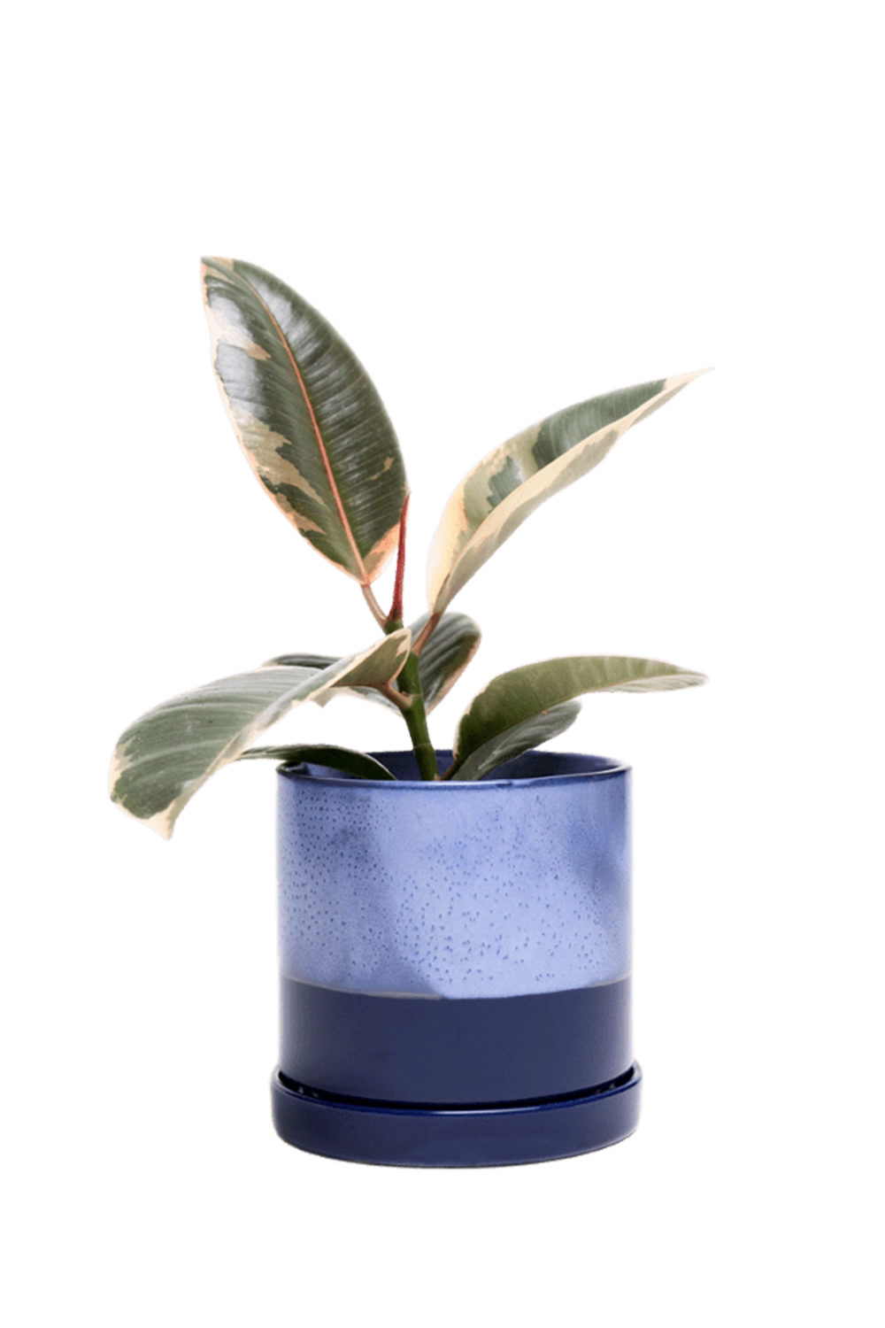 Cobalt Blue Medium Ceramic Pot with Drainage Hole and Saucer - Minute - handmade by Chive Studio Toronto