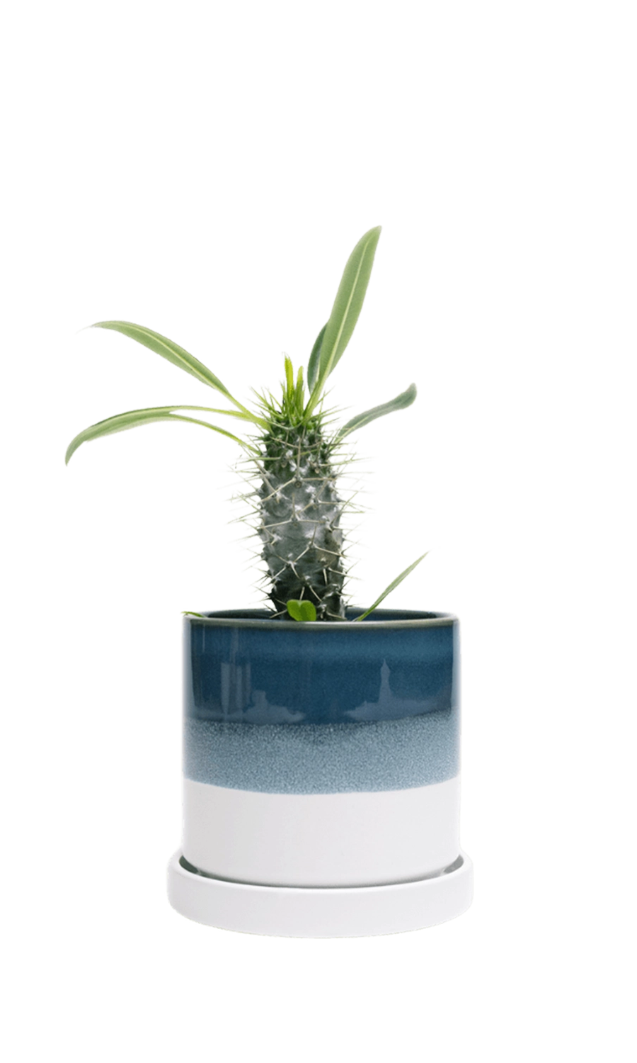 Green Blue Medium Ceramic Pot with Drainage Hole and Saucer - Minute - handmade by Chive Studio Toronto