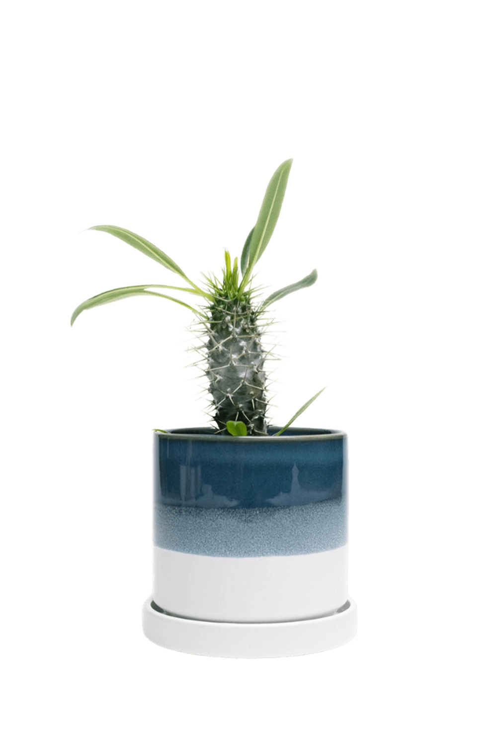 Green Blue Medium Ceramic Pot with Drainage Hole and Saucer - Minute - handmade by Chive Studio Toronto