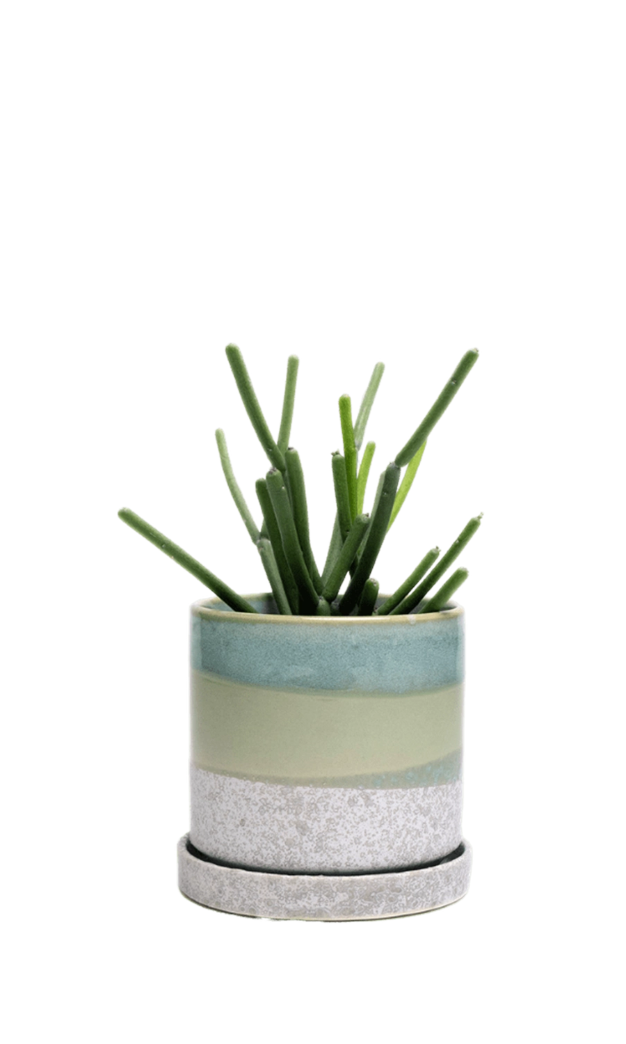 Green Cement Medium Ceramic Pot with Drainage Hole and Saucer - Minute - handmade by Chive Studio Toronto
