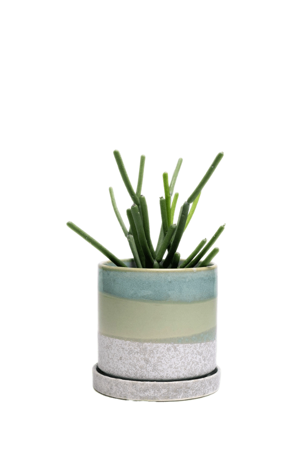 Green Cement Medium Ceramic Pot with Drainage Hole and Saucer - Minute - handmade by Chive Studio Toronto