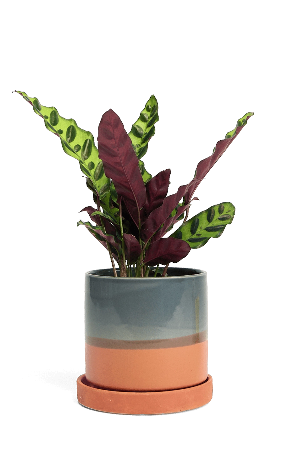 Terracotta Medium Ceramic Pot with Drainage Hole and Saucer- handmade by Chive Studio Toronto