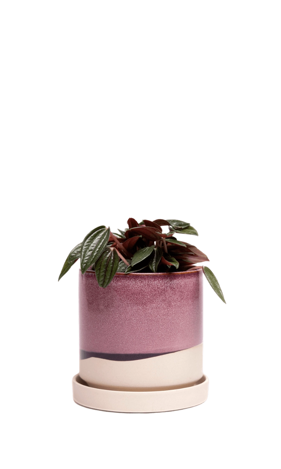 Burgundy Medium Ceramic Pot with Drainage Hole and Saucer - Minute -handmade by Chive Studio Toronto